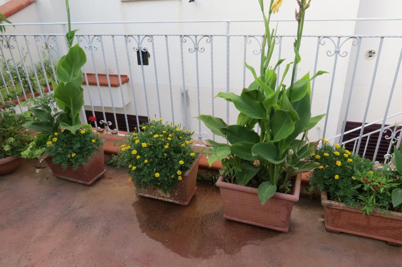 Il Roseto Di Betty In S1 Palermo